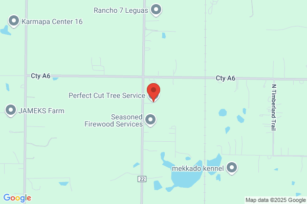 Perfect Cut Tree Service