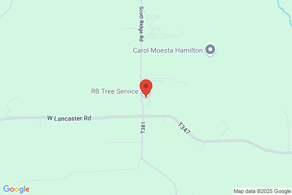 R&b Tree Service