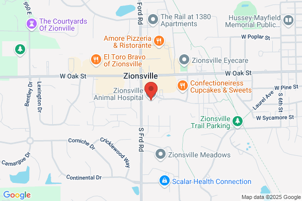 Zionsville Animal Vet