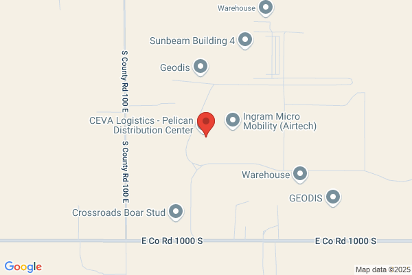 Pelican Systems Inc