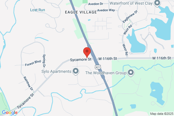 Leading Edge Veterinary Mri Center