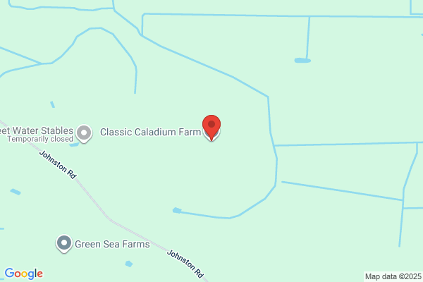 Classic Cladiums Inc