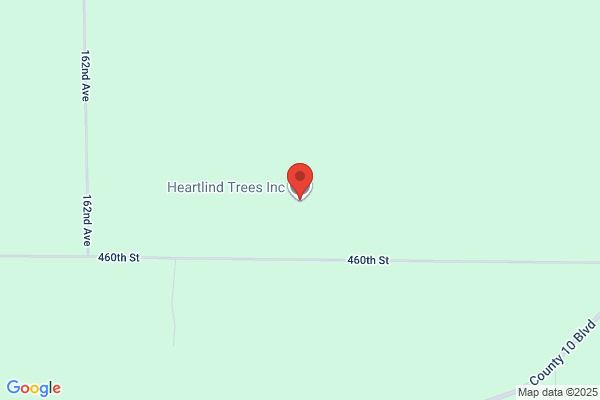 Klug Michael Tree Transplanting
