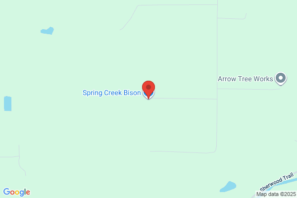Spring Creek Bison