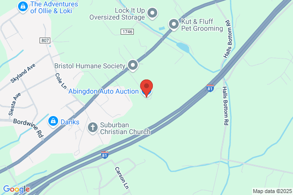 Mae's Auto Sales & Auto Auction Inc