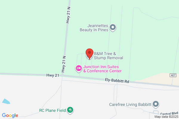 B&M Tree & Stump Removal