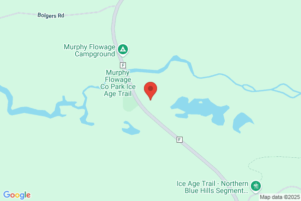 King's Logging & Tree Service