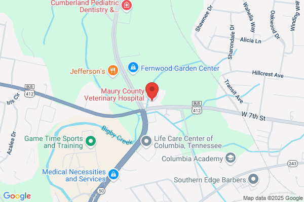 Alisa Gilliam - Maury County Veterinary Hospital