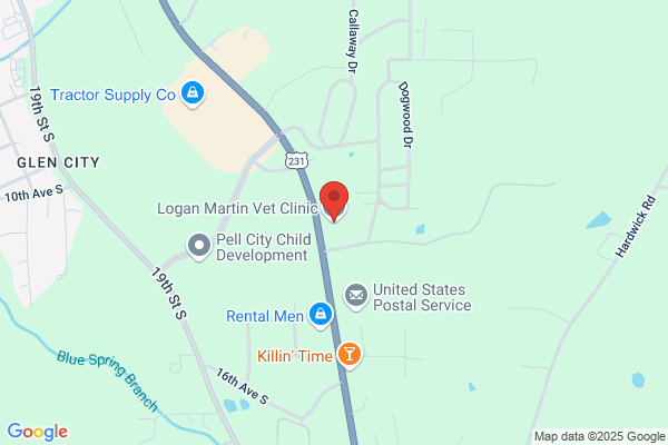 Logan Martin Vet Clinic