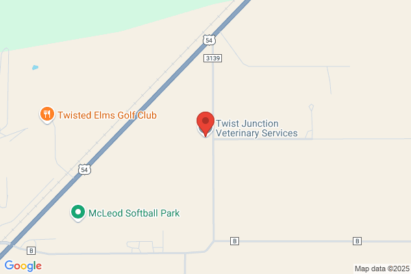 Prairie Dog Junction