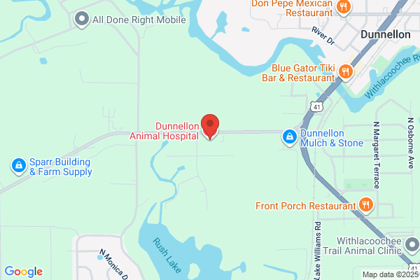 Brian Moorman - Dunnellon Animal Hospital