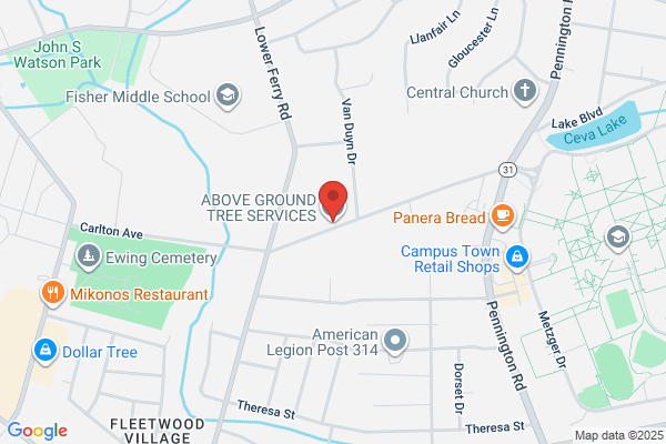 Above Ground Tree Service