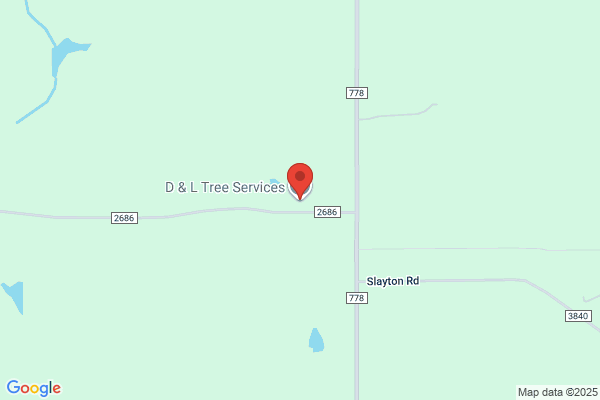 D & L Tree Service