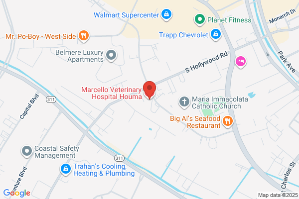 Kevin Showalter - Marcello Veterinary Hospital Houma