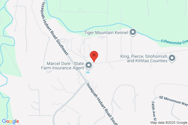 Mountainside School