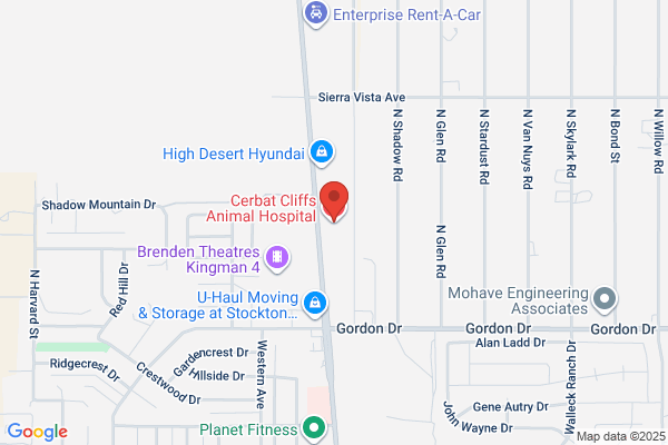 Madelyn Melchiors - Cerbat Cliffs Animal Hospital