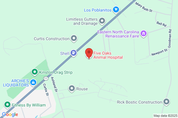 Robert Sexton - Five Oaks Animal Hospital