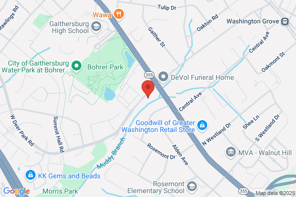 Wei Xu, MD