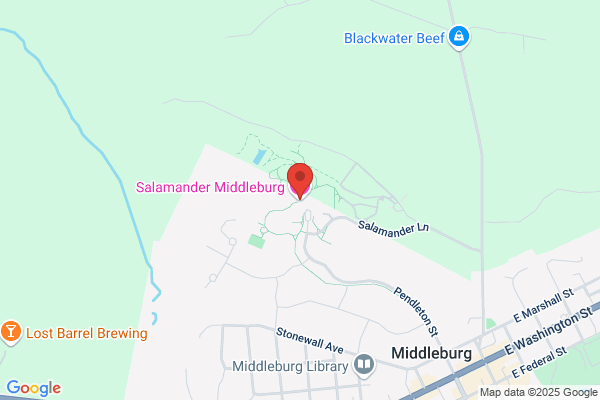Salamander Resort & Spa