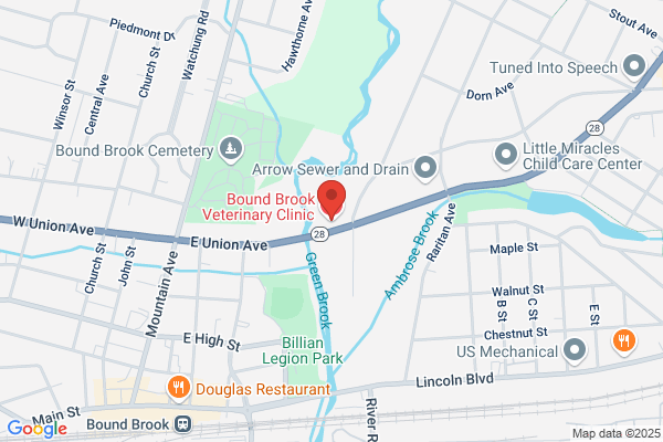 Ana Amato - Bound Brook Veterinary Clinic