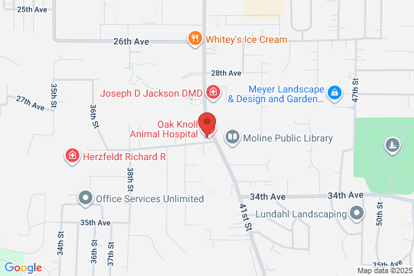 Valley Veterinary Service