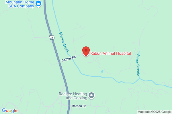 Elizabeth Hartridge - Rabun Animal Hospital