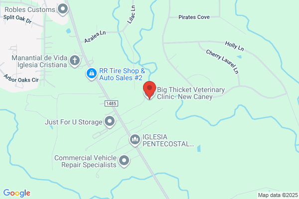 Big Thicket Vet New Caney