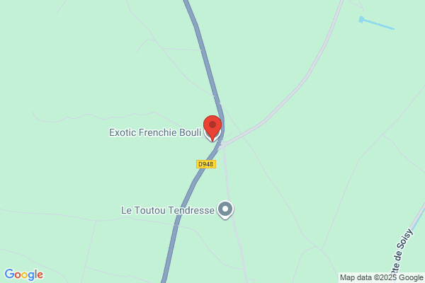 Frenchie's Star L Exotic Ranch