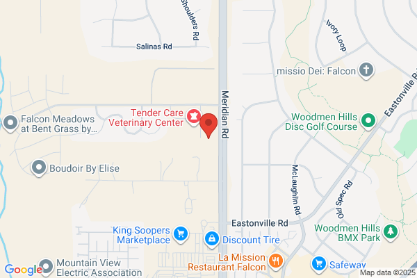Falcon Dental Care
